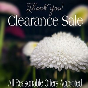 STORE CLOSING! ACCEPTING ALL OFFERS!